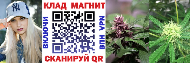 Купить наркотик аптеки Светлый ГАШИШ  COCAIN  A PVP  Бошки Шишки  МЕТАМФЕТАМИН  МЕФ 