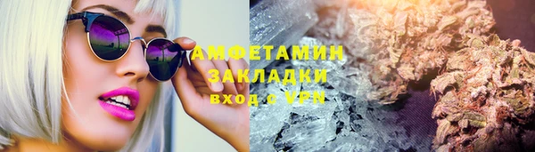 индика Белокуриха