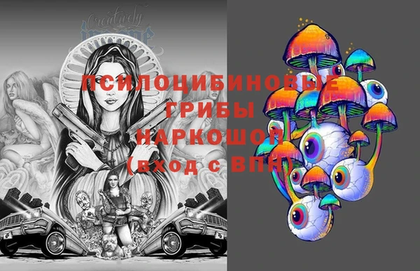 гашик Богданович
