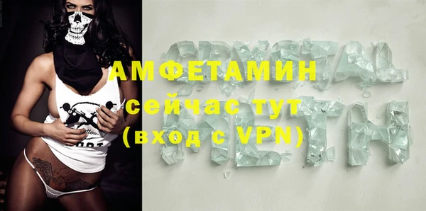 индика Белокуриха