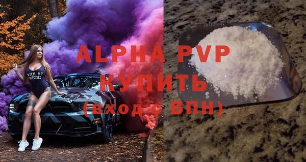 индика Белокуриха