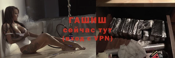 индика Белокуриха