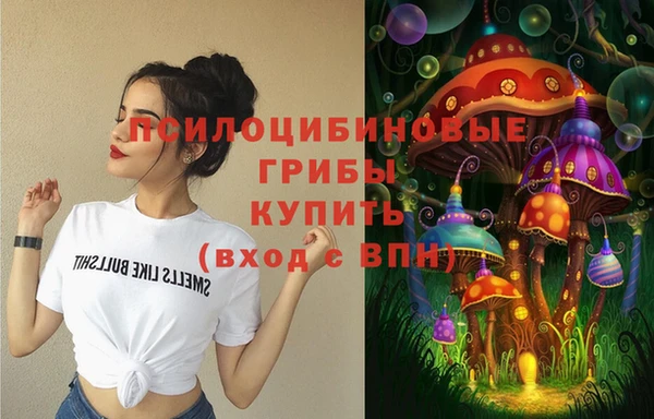 меф Богородицк
