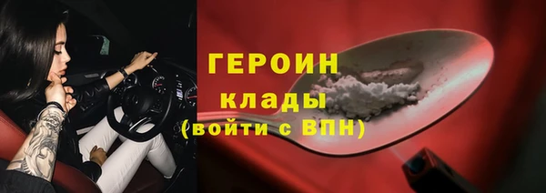 гашик Богданович