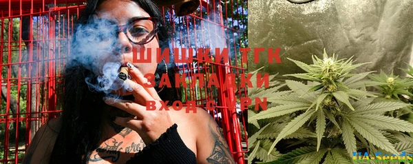 гашик Богданович