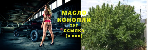 индика Белокуриха